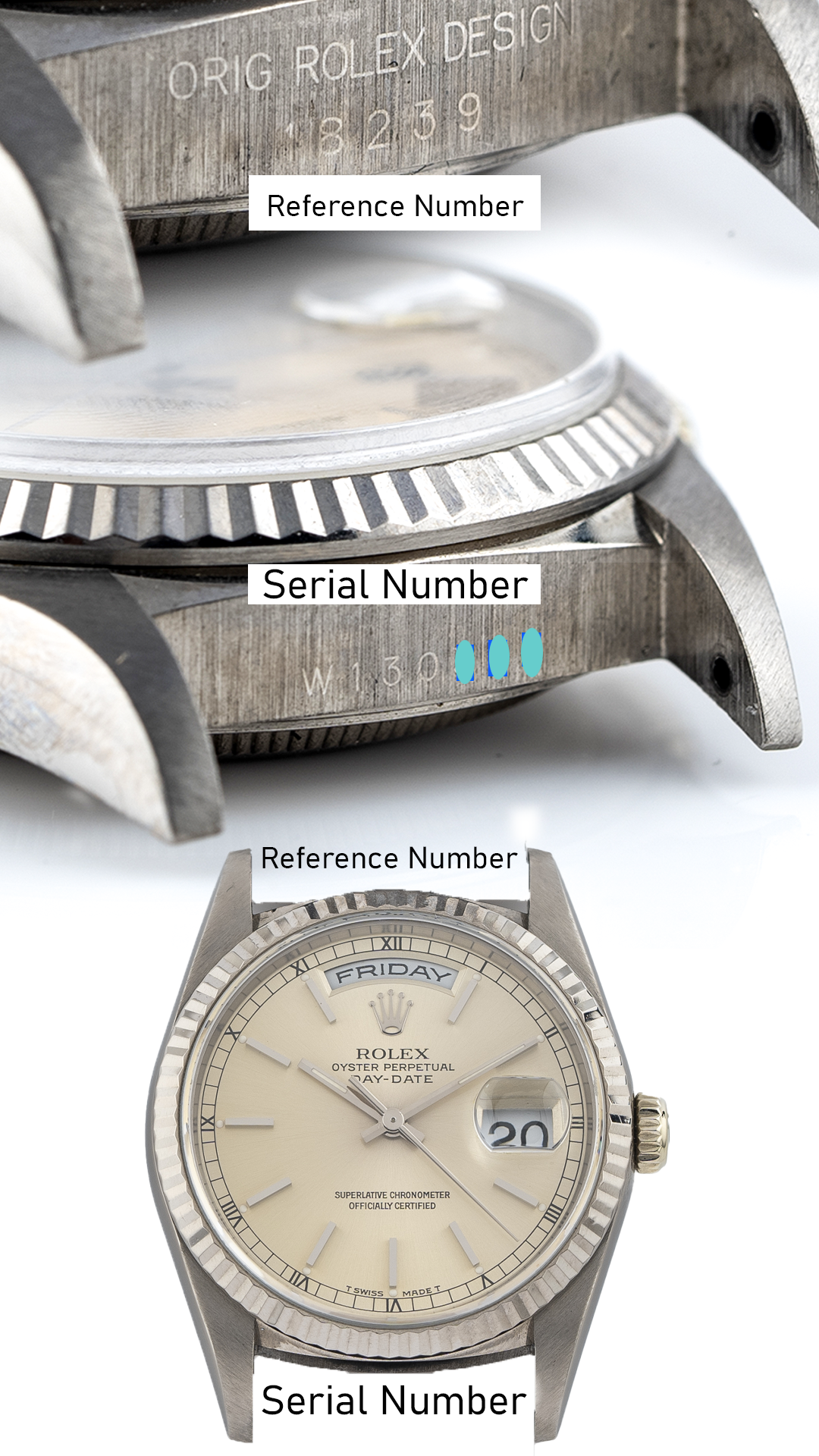 Rolex Serial and Reference location port