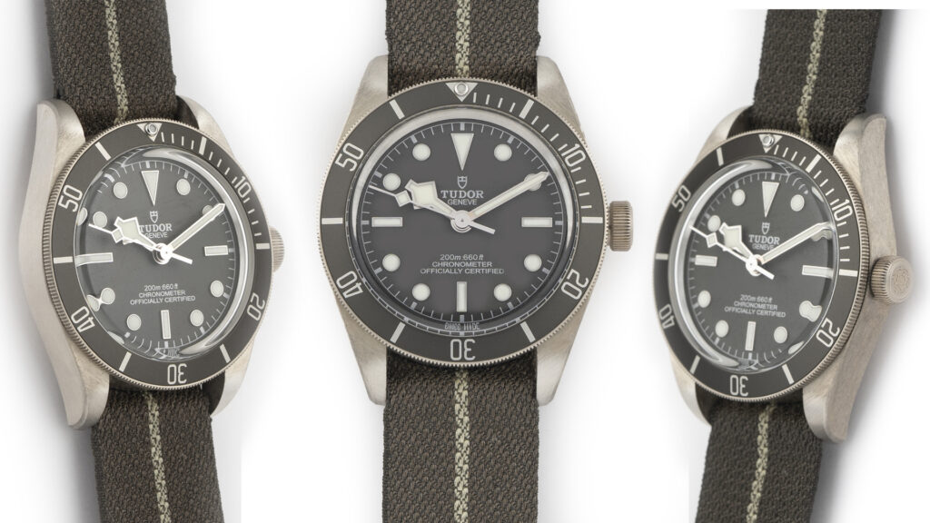 Tudor Black Bay Fifty-Eight 925 M79010SG Silver Capturing Insight